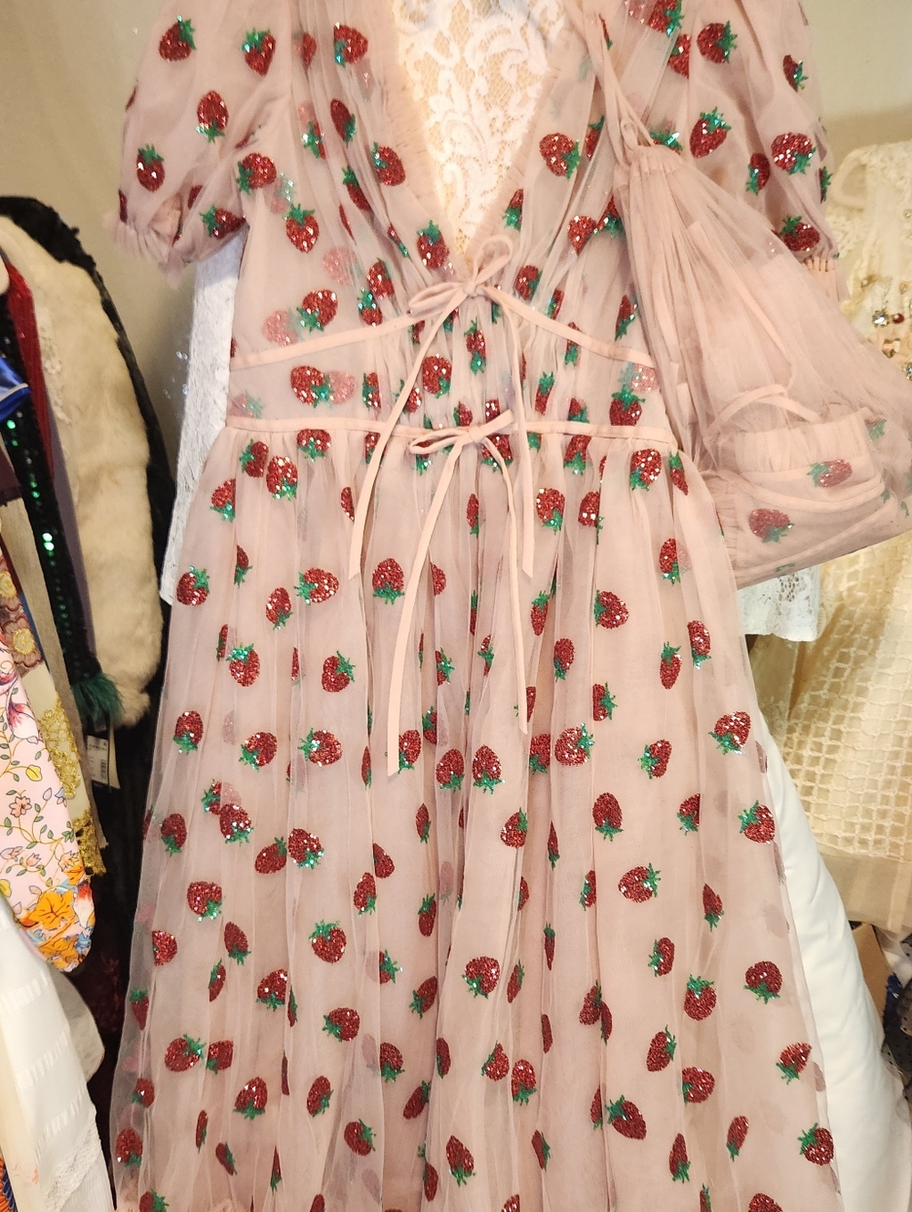 Lirika Matoshi Strawberry Dress Bundle Size XL & Pet M - Picture 11 of 16